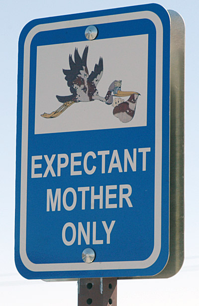 http://www.dodgeforum.com/expectant%20mothers.jpg